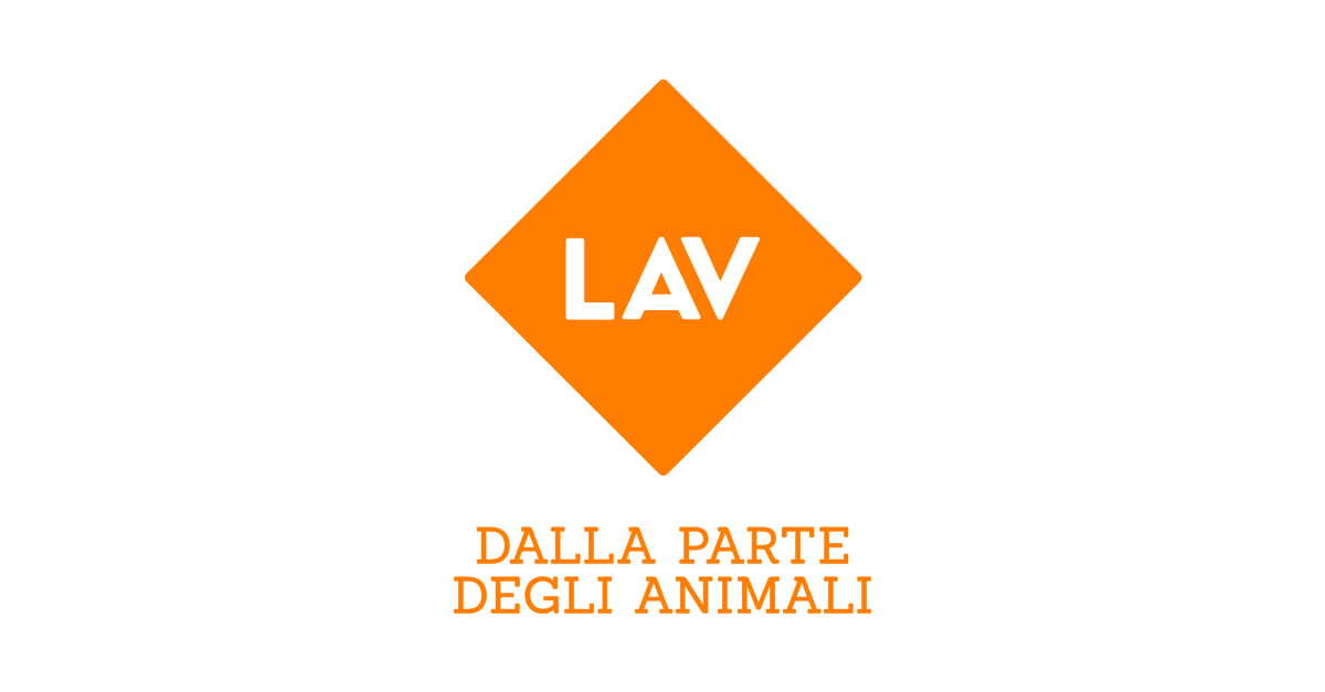 Siena, oggi udienza finale processo a 3 fantini e 1 veterinario. LAV chiede confisca obbligatoria cavalli e massima severità verso responsabilità penali accertate.