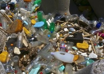 Mare: effetto plastica, oltre 33mila bottigliette al minuto nel Mediterraneo 