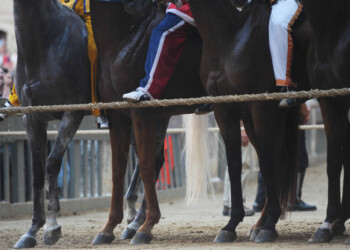 Palio Siena: Pantera vince prima prova