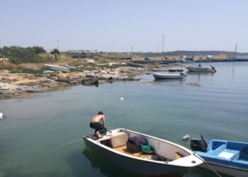 Pesca illegale ricci mare, una denuncia