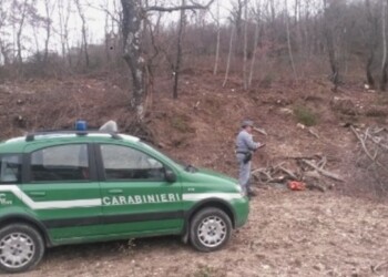 Pista carrabile in area protetta,denunce