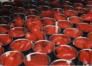 Pomodoro, l’export verso gli Usa cresce del 5,4%