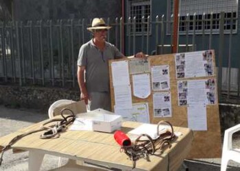 Protesta in strada vittima furto cavalli