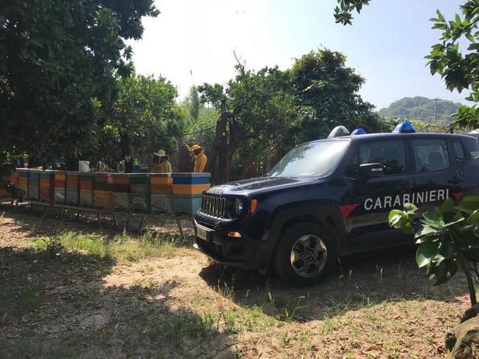 Sei apicoltori multati e denunciati