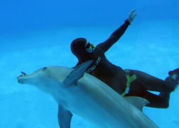 Sub annega mentre pesca