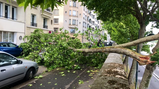 Tempesta sulla Francia, meteo da record, vento fino a 130 km/h