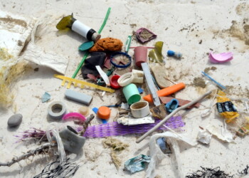 Tour Plasticfree su spiaggia Montenero