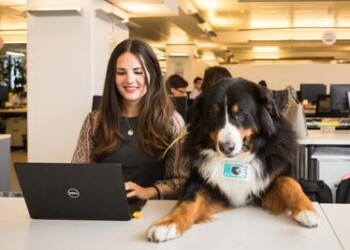 Ufficio pet-friendly? Ecco il ‘Take your dog to work day’ 