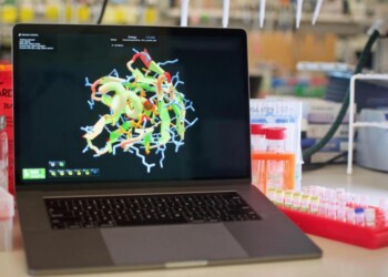 Un videogame per progettare proteine sintetiche