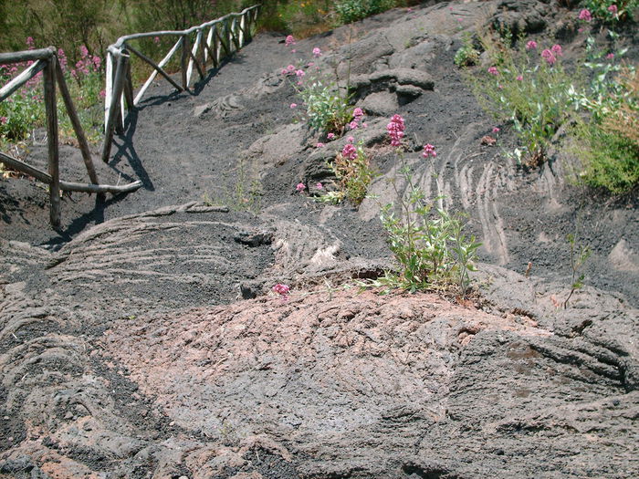 Vesuvio: piano emergenza per oltre 1 mln