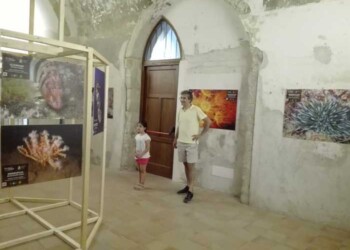 A Tropea mostra ‘Biodiversità Tirreno’