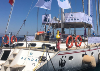 Al via la Blue Panda week all’Argentario