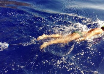 Ambiente: Filicudi-Alicudi a nuoto sulla rotta tartarughe