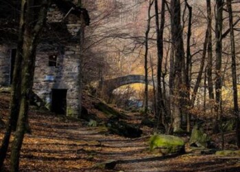 Ambiente: le foreste più belle, Pefc premia vincitori contest fotografico
 