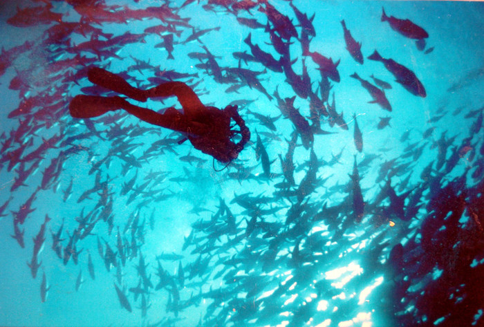 Arpal cerca siti subacquei da promuovere