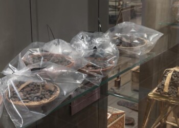 Ateneo Torino ‘annusa’ l’Antico Egitto