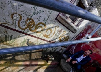 Cede trave in Domus Pompei, nessun ferito