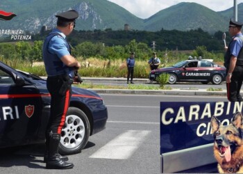 Controlli dei Carabinieri, 5 denunciati