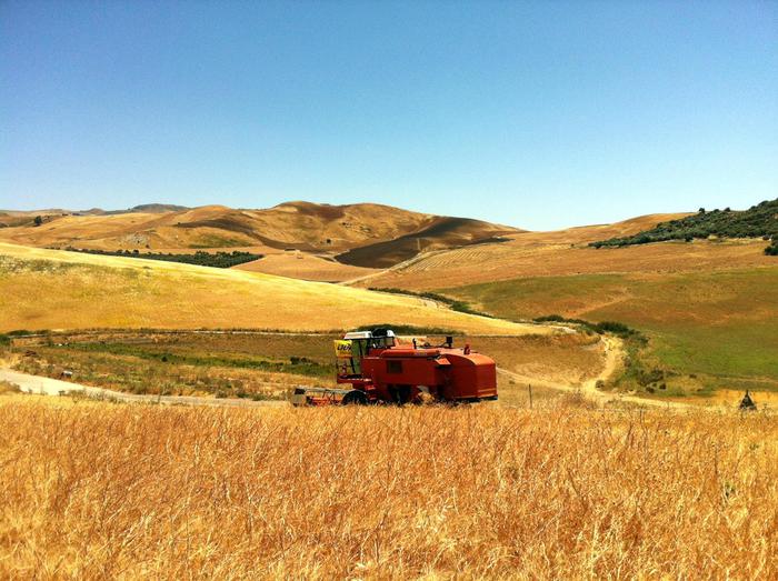 Cresce nel primo semestre 2019 la fiducia degli agricoltori Ue