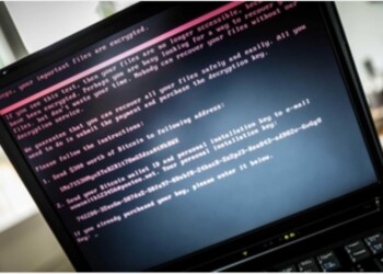 Cybercrime, Europol fa risparmiare 108mln