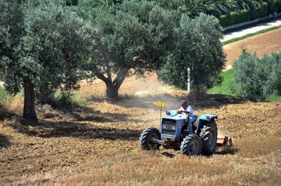 De Gennaro (Leonardo): Con IBF Servizi, nell'agroalimentare il Paese fa sistema