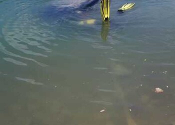 Emerge dal lago auto rubata in Molise