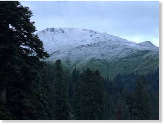 immagine 1 articolo fenomeno meteo inaspettato neve in pieno luglio in georgia