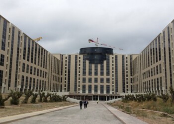 Giulia Grillo: dimesso subcommissario Schael