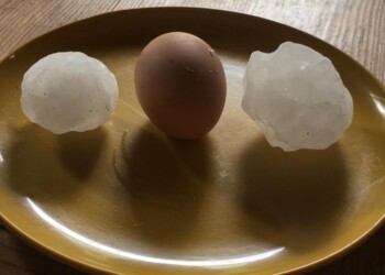 Grandinate da Piacenza a Rimini, danni nei campi