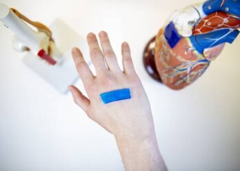 Il cerotto che ripara le ferite ispirandosi agli embrioni