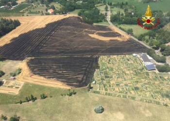 Incendio in campo vicino ospedale di Imola, intervento Vvf