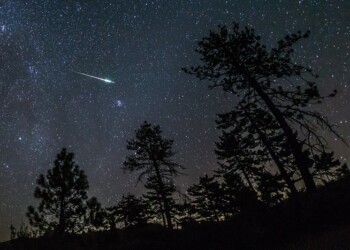 La voce delle stelle cadenti ricorda il canto dei grilli