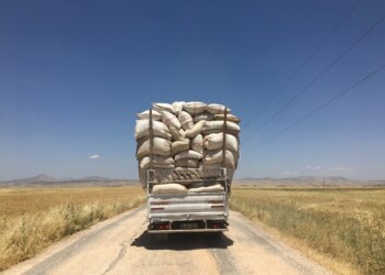 Lo schermo dell’arte Film Festival – XII edizione