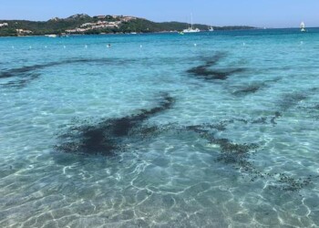Macchia oleosa in spiaggia Porto Rotondo