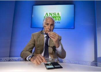 Malagò, con deleghe governo rischi Cio