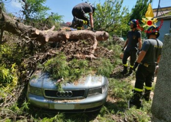 Maltempo, 435 interventi Vvf Ancona