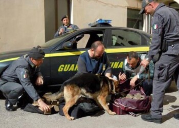 Matera, Guardia di finanza sequestra 2,5 kg di droga