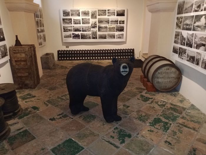 Museo ‘Winterline’, arriva l’orso Wojtek