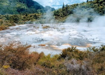 Nuovi ingredienti all’origine della vita