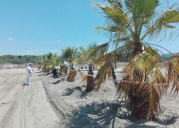 Occupazione abusiva, sequestro spiaggia