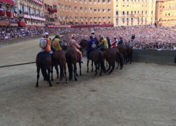 Palio Siena: a Giraffa la prova generale