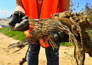 Parte la campagna Now or Never per un’estate plastic free