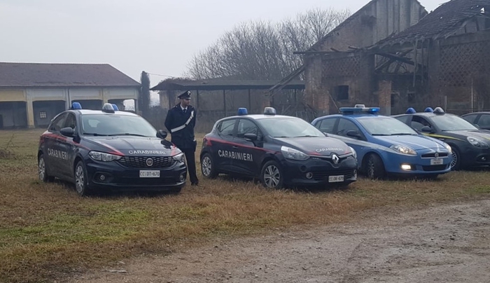 Rave party nel Mantovano, denunciati