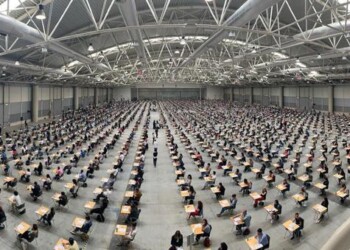 Reddito cittadinanza, 55 navigator Marche