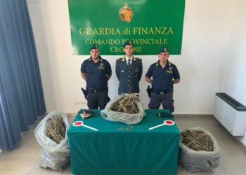 Sorpresi con 13 kg marijuana, arrestati