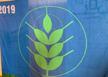 Sostenibilità: comuni rurali sempre più green, 42 le ‘spighe verdi’ 2019
 