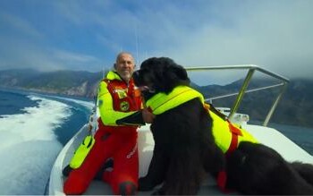 Superpowerdogs, cani bagnini protagonisti a Los Angeles  