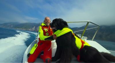 Superpowerdogs, cani bagnini protagonisti a Los Angeles  