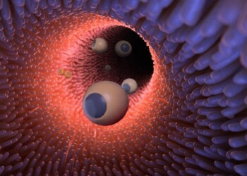 Un esercito di micro-robot la futura arma contro i tumori