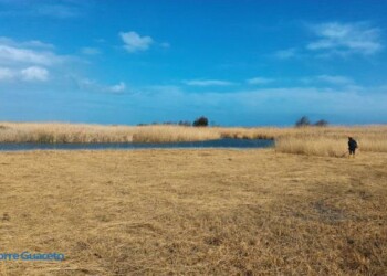 Vietato fumare in area marina protetta